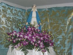 Picture 20